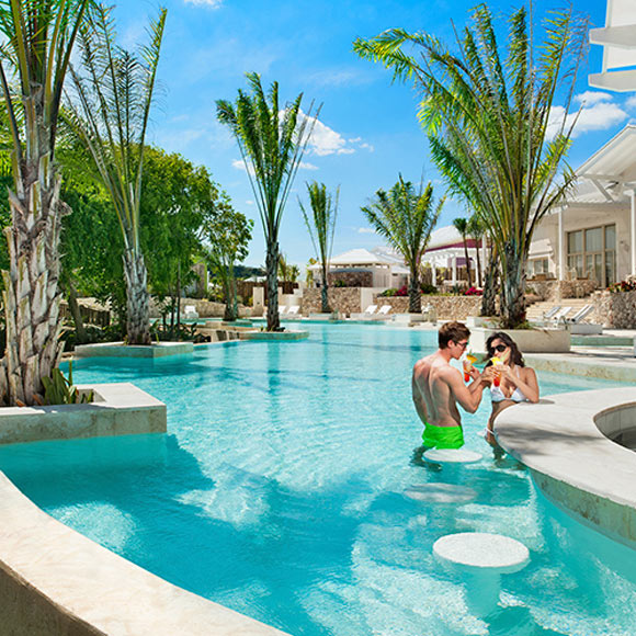 Gourmet Corner Lizards